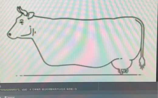 编程的第一法则：“能跑就行”