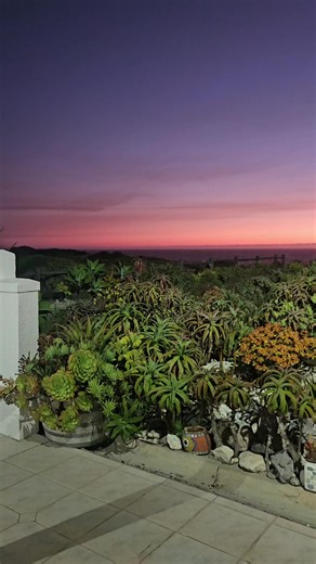 Nick Van der Walt (@nick.van.der.walt)’s videos with original sound - Quintin Lourens