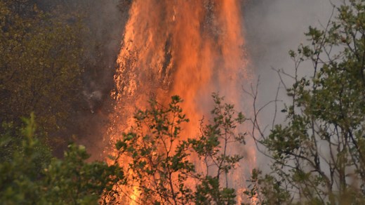 The PACE Model Explained