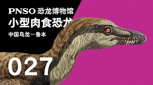 PNSO恐龙博物馆 三分钟带你认识一种恐龙——中国鸟龙 鲁本