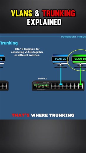 How VLANs & Trunking Work