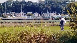 無料 映画 動画 サイト - Super Rich (2021) #5