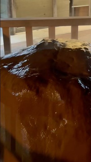 温泉街の端っこで源泉のかけ流しが見れる所。城崎温泉 薬師源泉。温泉街の様子は今後紹介予定。#shorts #温泉 #旅行 #japan #観光 #城崎温泉 #温泉街