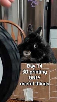 Day 14 3D Printing ONLY useful things, tire wheel balancer and wheel hop checker starring goth bunny