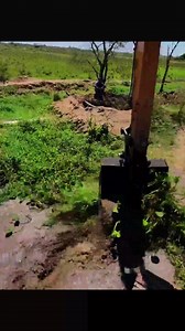 Satisfying Excavator Clearing Heavy Overgrowth 😌 | Beaver Dam Removal