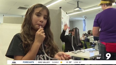 Bugging Out: Arizona Insect Festival celebrates the little creatures that run the world