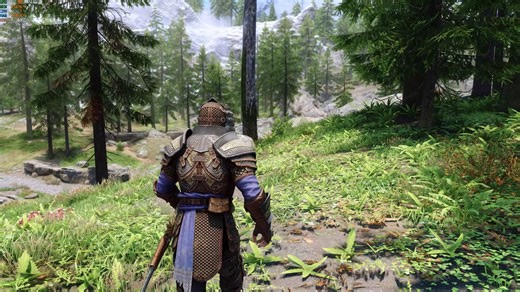 Here's Skyrim with 3100  mods at 8K on an NVIDIA RTX 4090