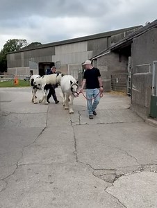 Greenlands Farm Village on Reels