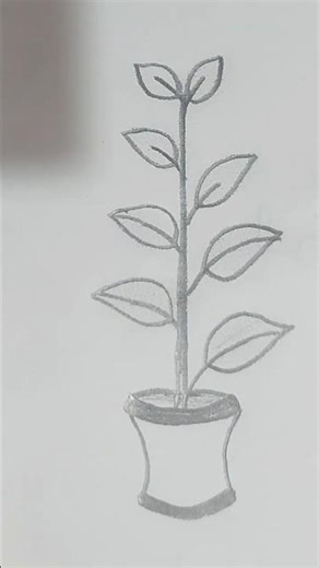 Easy Plant Drawing Tutorial | Simple Leaf Sketch for Beginners
