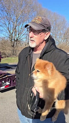 Haul Heavy Machinery with a Peterbilt Truck