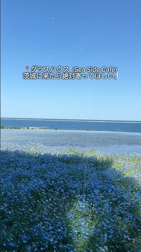 ひたち海浜公園で見つけた、海が見える「ガラス張りのカフェ」🌿