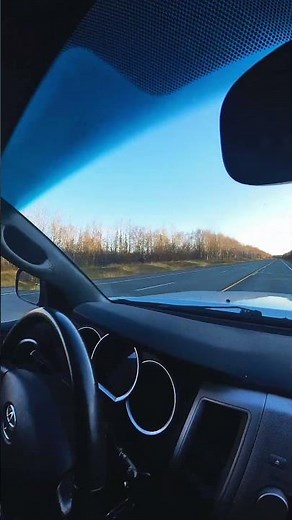 Large Bull Moose running 30 Miles per hour!