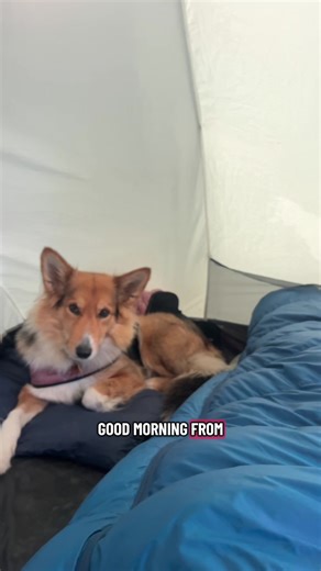 Discover the Perfect Camping Spot in the UK