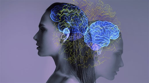 Why we haven’t solved brain disorders—and how to fix it, with Nicole Rust