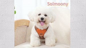 Blue Small Dog Harness for Small Dogs, No Pull Dog Harness with 2 Leash Clips, Puppy Harness, Dog Vest Harness (Blue, S)