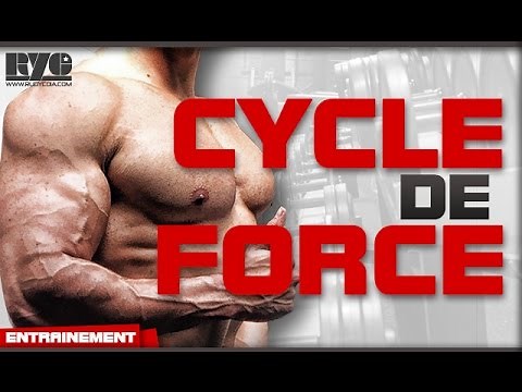 THE STRENGTH CYCLE in BODYBUILDING