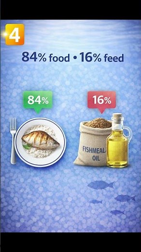5 Shocking Facts About Overfishing
