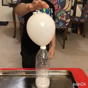 53K views · 412 reactions | Have you tried this Vinegar- Baking Soda Balloon  Experiment 離匿??? It's Super fun and exciting!!! Watch the little ones dance with joy when the Balloon magically begins to blow | Zippi Kids Corner | Facebook
