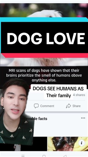 The Science Behind How Dogs See Humans as Family