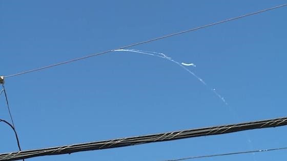 Are you seeing spiderwebs flying in the air? Here's why it happens