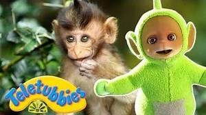 ★Teletubbies English Episodes★ Monkeys ★ Full Episode - HD (S14E339)