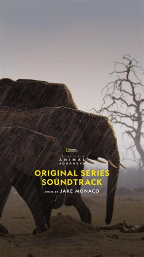 32K views · 378 reactions | Jake Monaco Composer's mesmerizing soundtrack is the perfect companion to #IncredibleAnimalJourneys, narrated by Jeremy Renner. Listen here: https://on.natgeo.com/49S9dTk and don't miss the premiere this Sunday at 9/8c on National Geographic. | National Geographic TV | Facebook