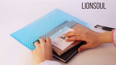 Plastic File Folders for Documents, 10 PCS Plastic Envelopes with Snap Closure, Transparent White Folders, Reusable Document Organizer, A4 Size with Pockets