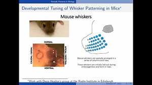 Footnotes to Turing (1952)_ Some Modern Challenges in Pattern Formation