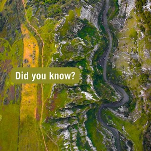 26 reactions | Hands up if you already knew this  Learn more about Cheddar Gorge on your next visit with a Day Ticket, which includes access to Gough's Cave, Museum of Prehistory and other attractions: https://www.cheddargorge.co.uk/tickets | Cheddar Gorge & Caves | Facebook