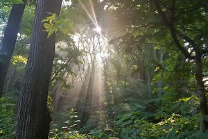 The Ioway Tribe is creating the largest tribal national park in the US