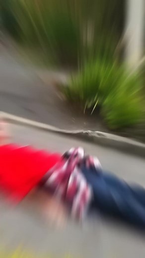 2.4M views · 10K reactions | The Steepest Street in the World! Guinness World Record #fbreels2024 #guinessworldrecord | Awesome Animals | Facebook