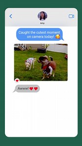 Give them something to talk about! Like up to 60% off Blink Outdoor 4 cameras. Snag yours today (And tell a friend!) 👯‍♀️👯 | Blink