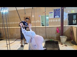 amazing camel Cutting Skills camel processing full video