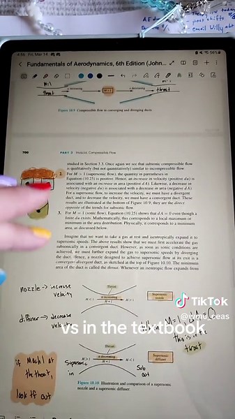 CEAS Student Ambassadors on TikTok