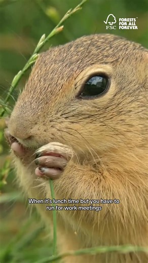 Who can relate? #fsc #work #sarcasm