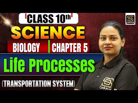 Class 10th | Science | Chapter - 10 | Biology | Life Processes | SD CAMPUS :MyTuitionClass
