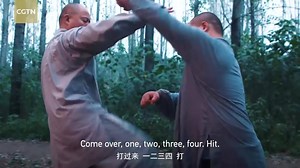 2.7K views · 66 reactions | Chinese ancient martial art: Shaolin Iron Palm 中國傳統武術：少林鐵沙掌 #武術 #武藝會 #功夫 #少林 #martialarts #kungfu #wushu #shoalin | 武藝會 - Martial Arts Club | Facebook