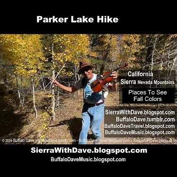 Amazing Fall Colors in the California Sierra Nevada Mountains #california #fall