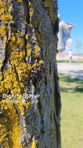 Exploring the Dignity Statue in Chamberlain, SD