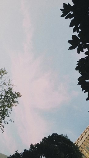 遺伝子レベルを超えた愛を - RADWIMPS 歌詞動画 | 恋愛ソング | おすすめ