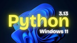 如何在Windows 11 24H2上安装Python 3.13.1_哔哩哔哩_bilibili