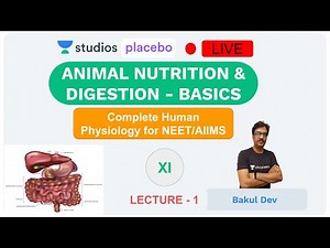 L1: Animal Nutrition & Digestion- Basics | Human Physiology (Pre-Medical: NEET/AIIMS) | Bakul Dev