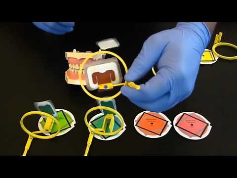 How to use intraoral x-ray holders