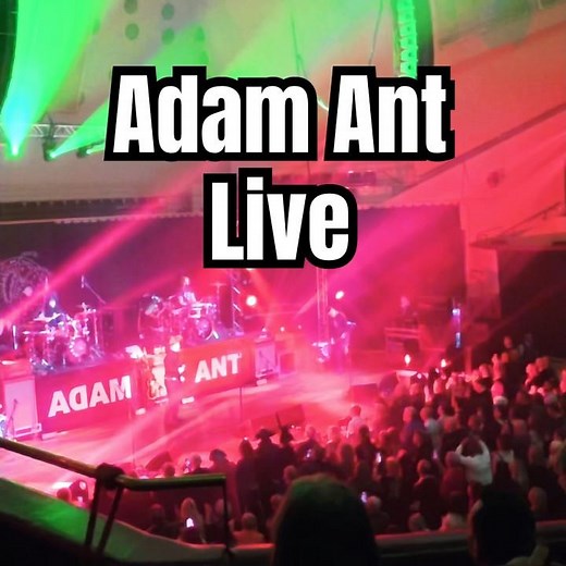🎸Adam Ant Live 2025 #shorts #80smusic #concert