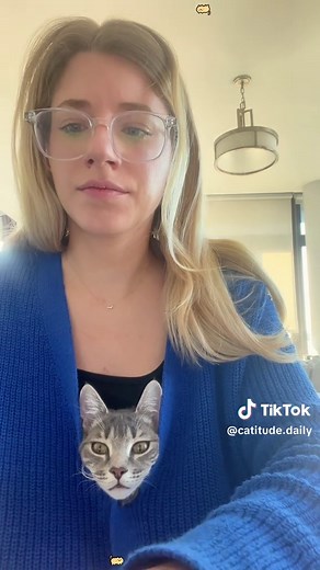 Understanding Your Clingy Cat's Behavior