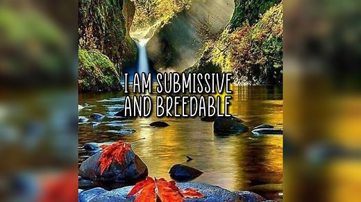 What Does 'Submissive And Breedable' Mean? The Viral Meme Explained