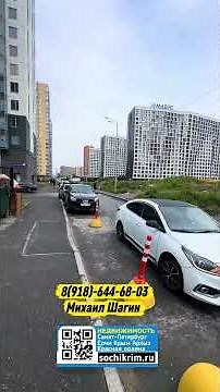 What happened to the clients in St. Petersburg