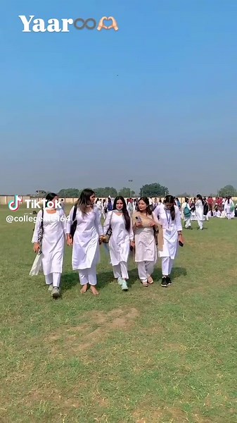 ❣️collegelife ❣️ on TikTok