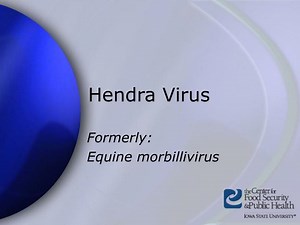Hendra Virus - SlideServe