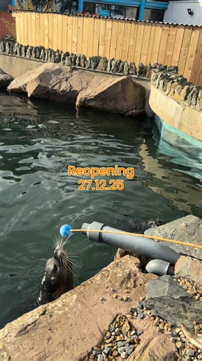 Exploris Aquarium is reopening on Saturday 27th December 👏🐠🦈 You can now purchase tickets online at www.explorisni.com | Exploris Aquarium